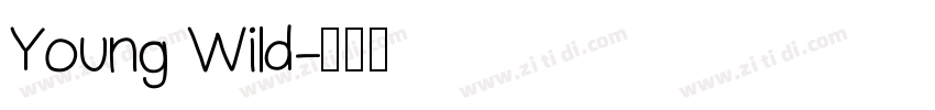 Young Wild字体转换
